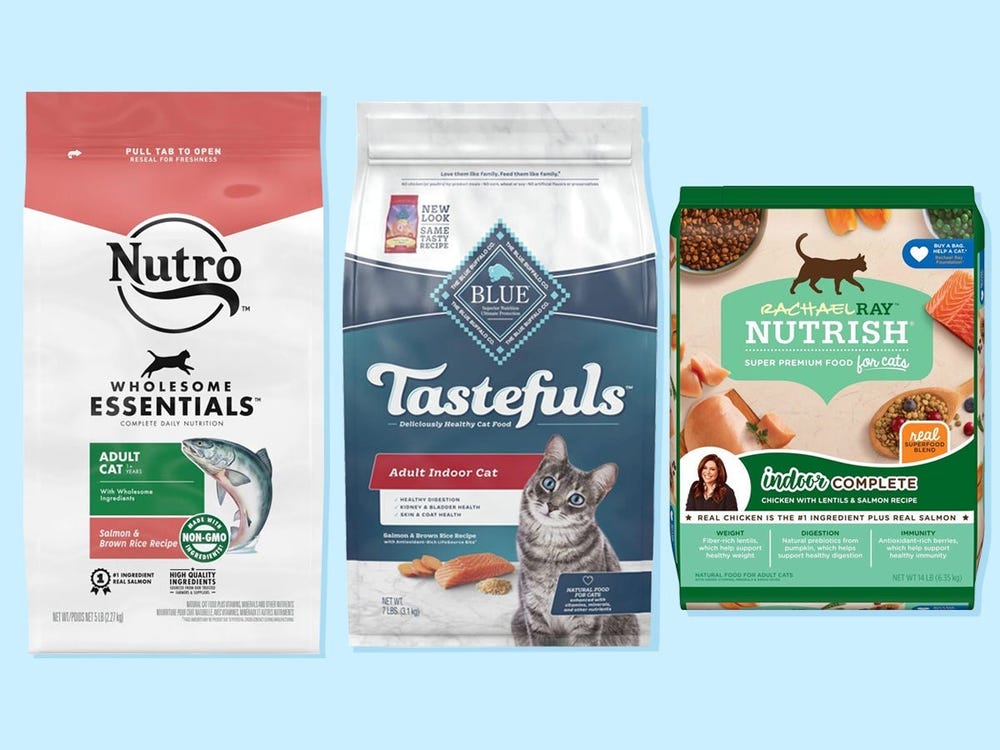 The Best Dry Cat Food Of 2023, According To Vets