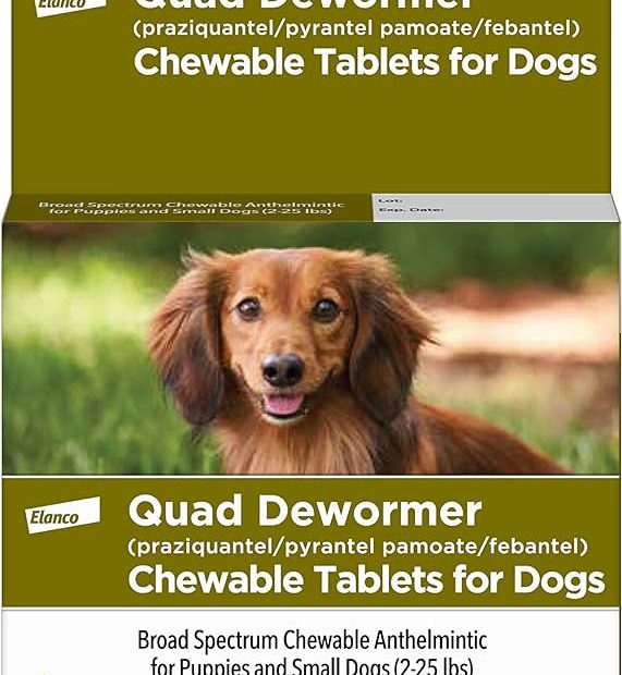 Amazon.Com : Elanco Chewable Quad Dewormer For Small Dogs, 2-25 Lbs, 4  Chewable Tablets, White : Pet Supplies
