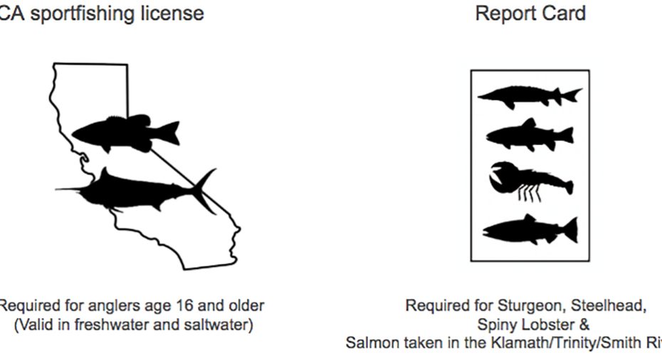 A Guide To Purchasing Your California Fishing License | Us Harbors