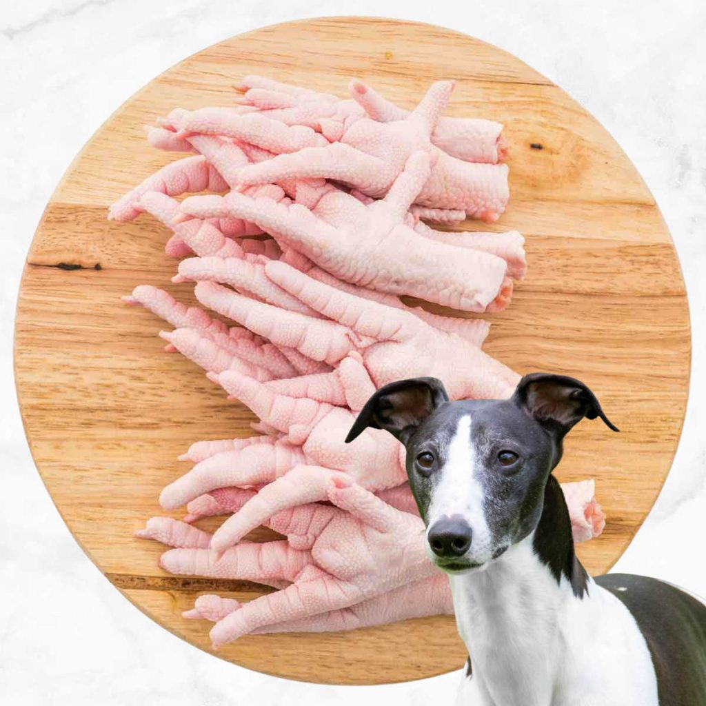 Is It Ok To Feed Dogs Raw Chicken Legs? Exploring Canine Diet Choices