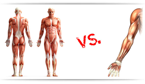 Full Body Workout Vs. Split Routine: Which Is Better? - Builtlean