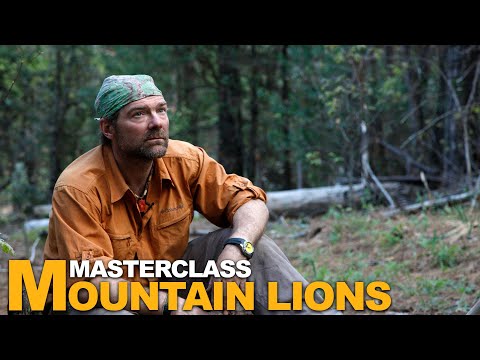 Survivorman | Masterclass | Dealing with Mountain Lions
