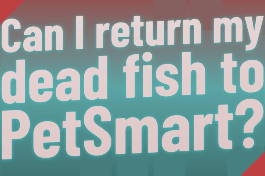 Petsmart Fish Return Policy (2023 Guide) - Employment Security Commission