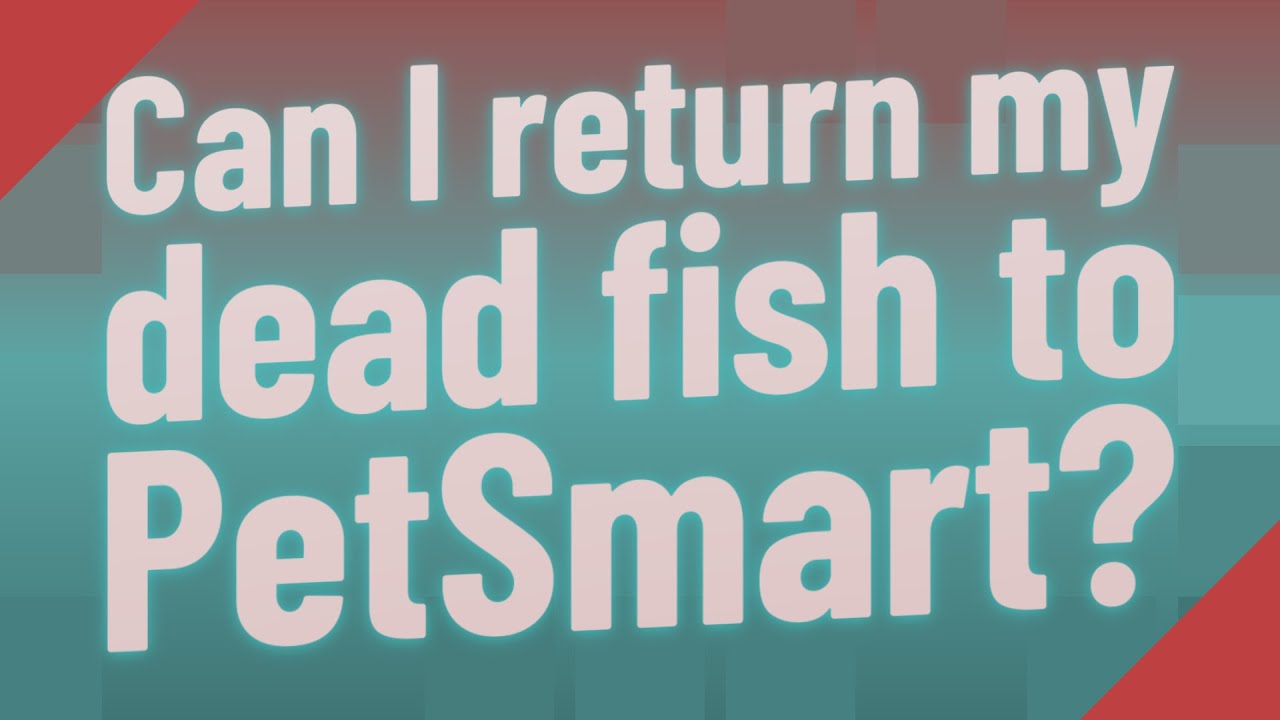 Petsmart Fish Return Policy (2023 Guide) - Employment Security Commission